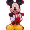 Micky Mouse Hard Plastic Pencil Case Box