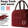 KARDIFF Lunch Bags for Office Women, Men, Kids Insulated Travel Box/Tiffin/Storage Bag - Image 2