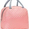 10 lunch bag for women stripe thermal leak proof tote cooler bag original imah2tmebmfrxt3w