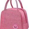 19 insulated lunch bag tiffin bag school picnic travelling for original imahyhb3j87szzkx