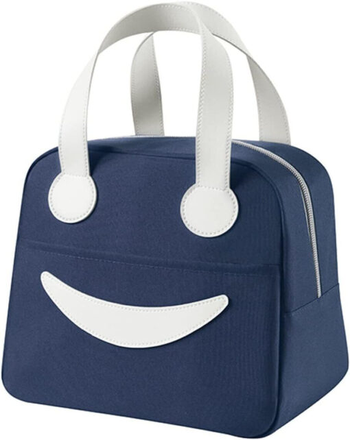 Insulated Bento Bag Heat Insulation Thick Hand Carry Large Capacity Lunch Bag