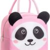 Insulated Lunch Box Bag Soft Leakproof Lunch Bag for Kids Men Women