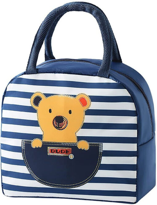 Insulated Lunch Box Bag Soft Leakproof Lunch Bag for Kids Men Women