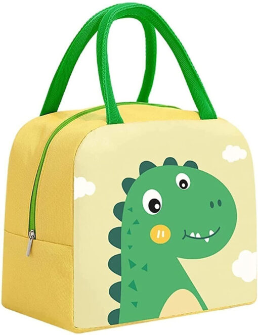 Insulated Reusable Small Lunch Bag Tote Bag for Women Printed Lunch Bag