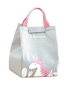 KARDIFF Cooler Bag Cooler Bag Lunch Bag for Women Girls for Picnic Work School, Lunch Box Waterproof Foldable Picnic Lunch Tote Bag Thermos Cooler Bag (Grey)
