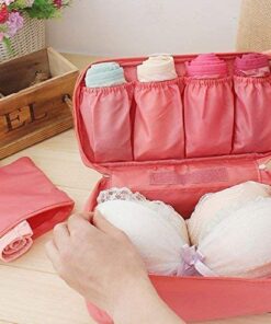 KARDIFF Travel Underwear Bra Lingerie Pouch Waterproof Case Garment Bag Innerwear Travel Organizer Underwear, Bra, Socks, Panties Storage Pouch Bag for Women, Secret Pouch (Multicolour Plain) 7 51F1D9XN17L