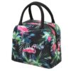 KARDIFF Portable and Reusable Insulated Lunch Bags for Men Women Work Student Kids to School Thermal Cooler Tote Bag Outdoor Travel Picnic Tiffin Bag Lunch Box Storage Bag (Duck Print)