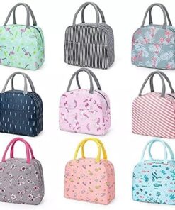 KARDIFF Lunch Bag Handle Insulation Cooler Bag for Women Picnic Travel Portable Food Storage Breakfast Student Thermal Bag Lunch Box Case(Multicolor)