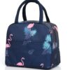 KARDIFF Insulated Lunch Bag for Kids, Women Small Lunch Leakproof Bag for Office, Work, School, Picnic Beach, Office, Outdoor Picnic Bag (D.Blue Flamingo)