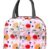 KARDIFF Insulated Lunch Bag for Kids, Women Small Lunch Leakproof Bag for Office, Work, School, Picnic Beach, Office, Outdoor Picnic Bag (Pink Flower)