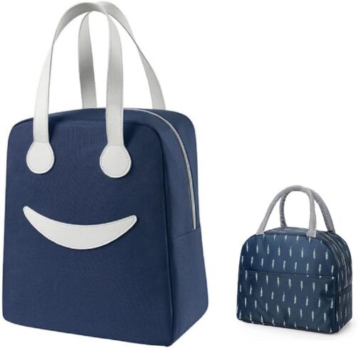 KARDIFF Hot Lunch Box Bag for School Kids, Girls, Boys, Women for Work Travel Picnic, Organize, Store & Insulate Portable Tiffin Tote Bag 28 x 24 x 13cm (Combo Blue Big+Small)