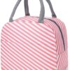 KARDIFF Insulated Lunch Bag for Women Small Lunch Leakproof Bag for Office, Work, School, Picnic Beach, Office, Outdoor, Gymor Travel (Pink Stripes)
