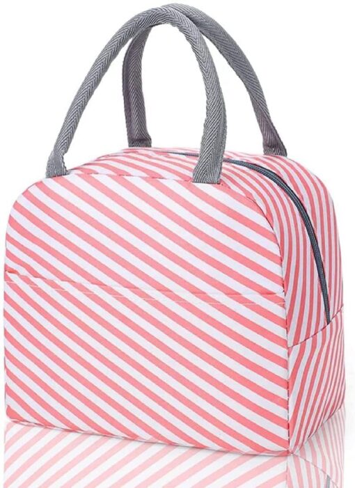 KARDIFF Insulated Lunch Bag for Women Small Lunch Leakproof Bag for Office, Work, School, Picnic Beach, Office, Outdoor, Gymor Travel (Pink Stripes)