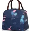 KARDIFF Insulated Lunch Bag for Kids, Women Small Lunch Leakproof Bag for Office, Work, School, Picnic Beach, Office, Outdoor Picnic Bag (D.Blue Flamingo)